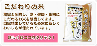 �������̕�