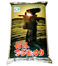 �V�������n�Y�R�V�q�J��