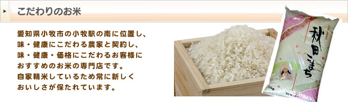 �������̂���