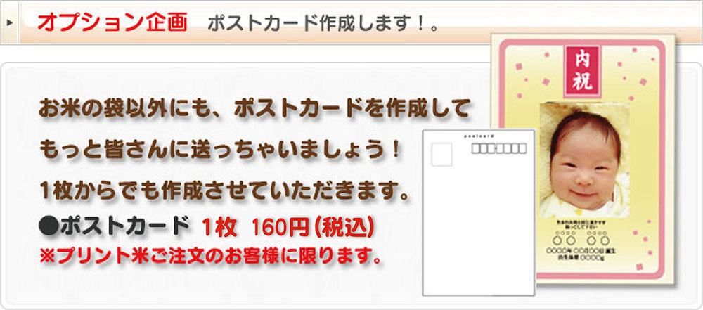 �o�Y���j���Ẵv�����g�p�b�N�āE�X�e�b�v4