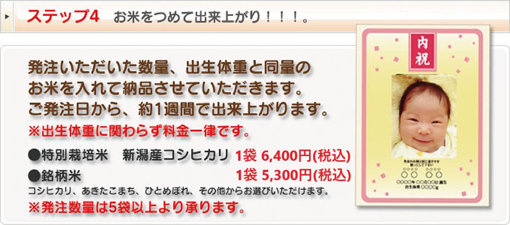 �o�Y���j���Ẵv�����g�p�b�N�āE�X�e�b�v4